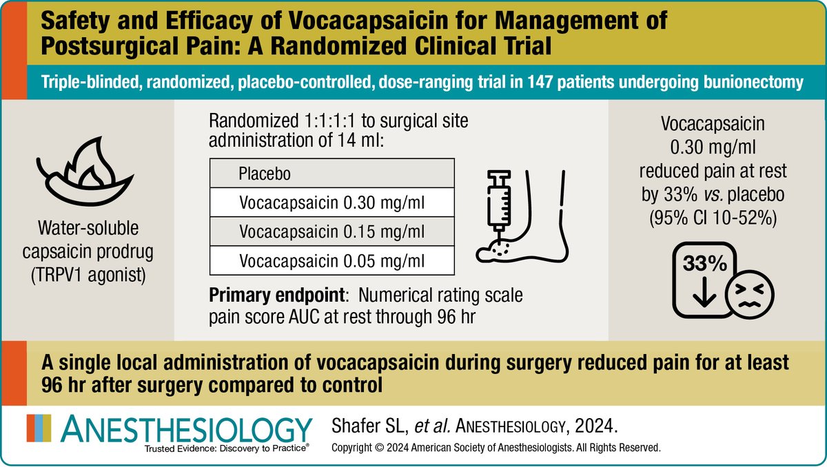 _Anesthesiology's tweet photo. Visual Abstract in #Anesthesiology - Safety and Efficacy of Vocacapsaicin for Management of Postsurgical Pain 🖌️ https://t.co/DtFxWyqGIX https://t.co/kcc5L9dSQV