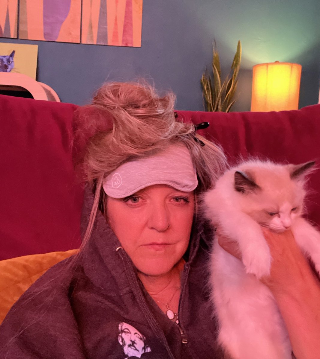 MuellerSheWrote's tweet photo. When is the childless cat lady roundtable for Harris? Cuz I’m in. https://t.co/he89uRtuW1