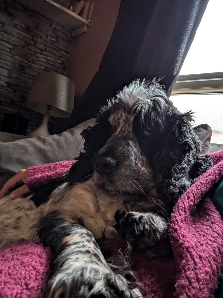 We had a busy day now I is chilling