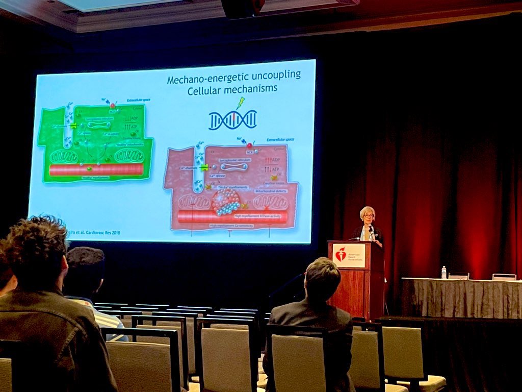 Jan Willem Buikema (@jan_w_buikema) on Twitter photo Jolanda van der Velden on Mechano-energetic Uncoupling in Hypertrophic Cardiomyopathy #BCVS2024 <a href="/AHAScience/">AHA Science</a> <a href="/AHAMeetings/">AHAMeetings</a> <a href="/JolandavanderV4/">Jolanda van der Velden</a> Jolanda van der Velden on Mechano-energetic Uncoupling in Hypertrophic Cardiomyopathy #BCVS2024 <a href="/AHAScience/">AHA Science</a> <a href="/AHAMeetings/">AHAMeetings</a> <a href="/JolandavanderV4/">Jolanda van der Velden</a>