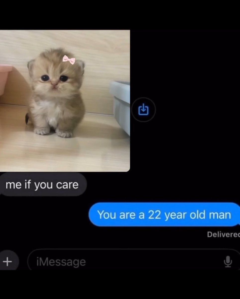 PunchingCat's tweet image. real