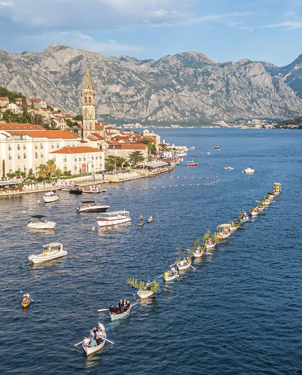 Jovana Marovic tweet media