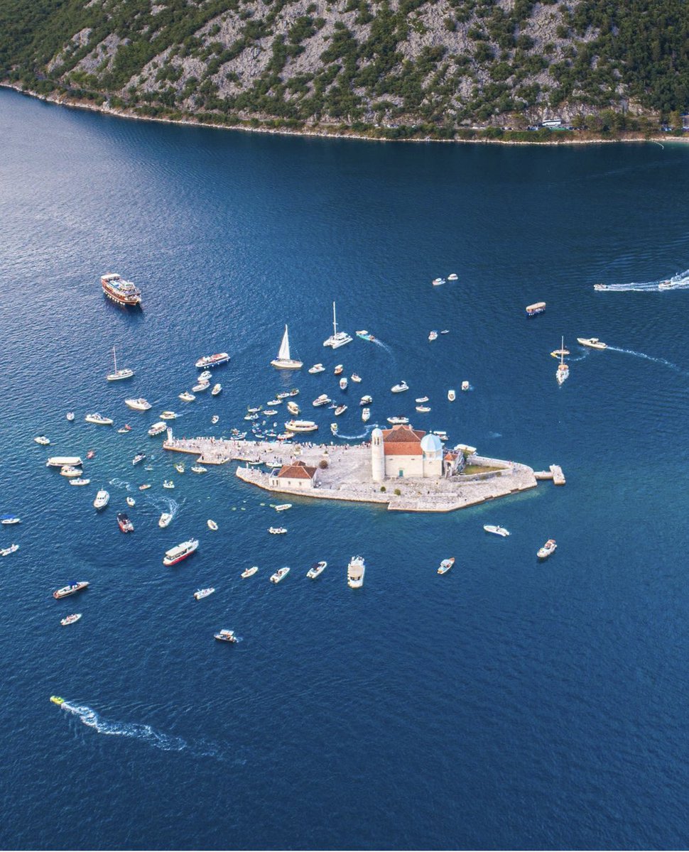 Jovana Marovic tweet media