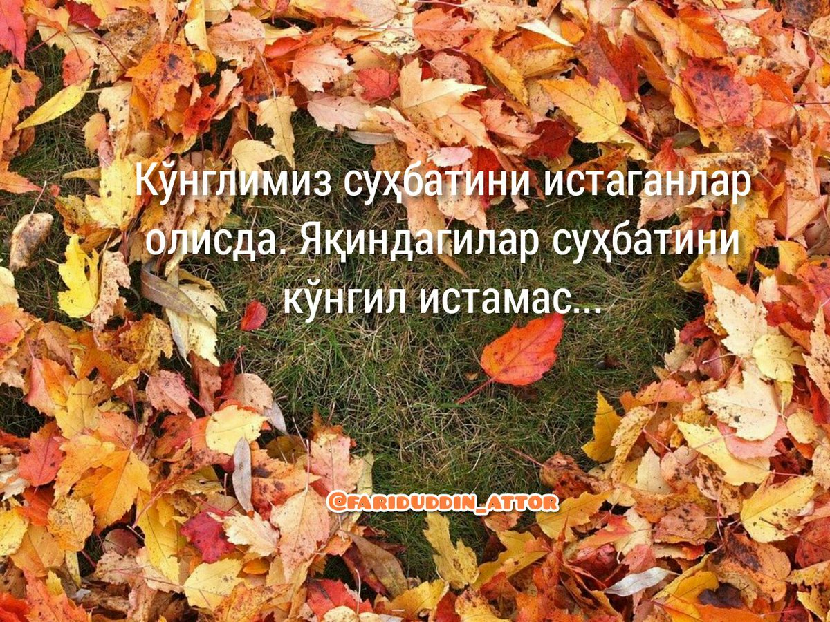 Mahmut Mustafa (@makhmudmustafa) on Twitter photo 