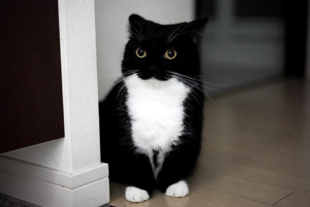 / / i like kiryu kazuma that’s why i rted that