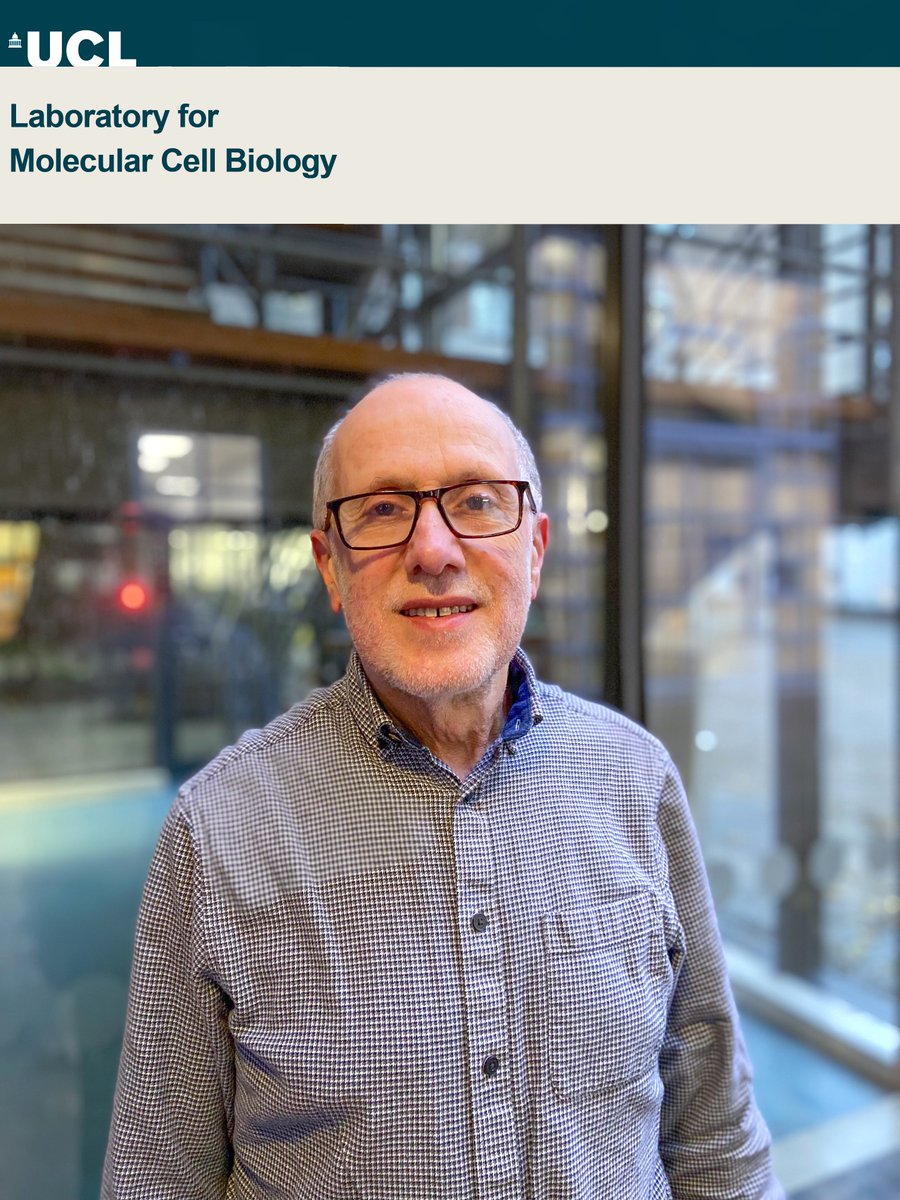 UCL Laboratory for Molecular Cell Biology (@lmcb_ucl) on Twitter photo It is with great sadness that we have learned of the passing of our dear colleague, David Ish Horowicz. David made the <a href="/LMCB_UCL/">UCL Laboratory for Molecular Cell Biology</a> his scientific home over the last years, and we will all miss his kindness, mentorship, and continued enthusiasm for the world of science. It is with great sadness that we have learned of the passing of our dear colleague, David Ish Horowicz. David made the <a href="/LMCB_UCL/">UCL Laboratory for Molecular Cell Biology</a> his scientific home over the last years, and we will all miss his kindness, mentorship, and continued enthusiasm for the world of science.