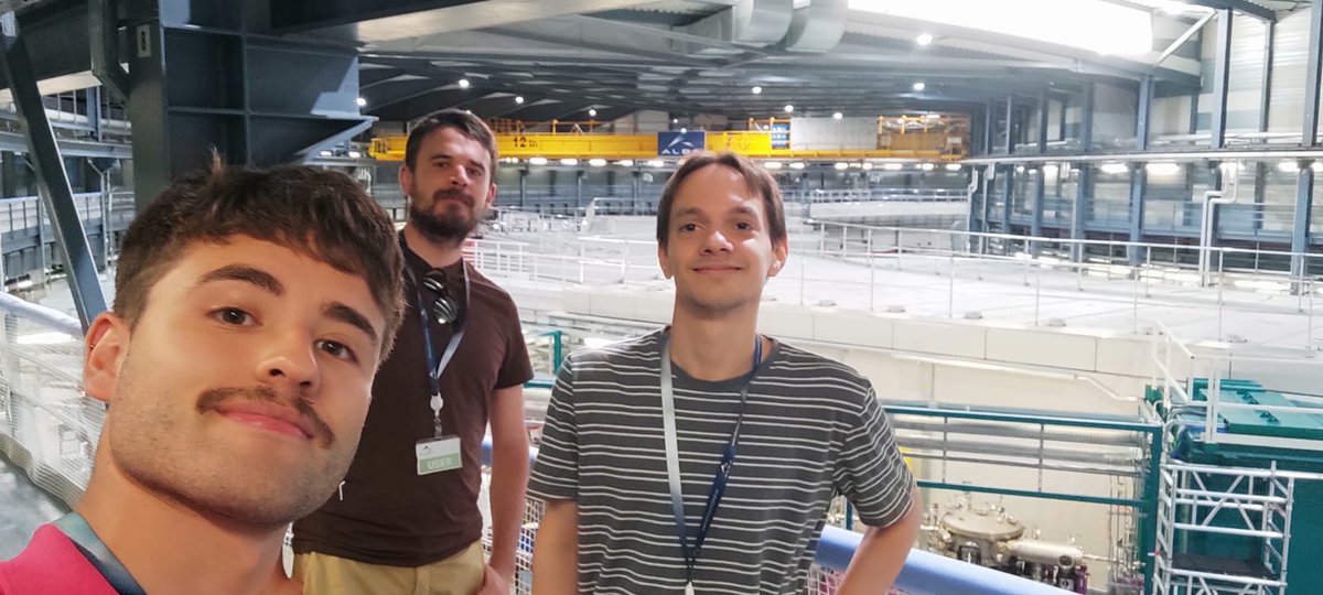 LOCAL-Mater • Platero's Lab tweet media