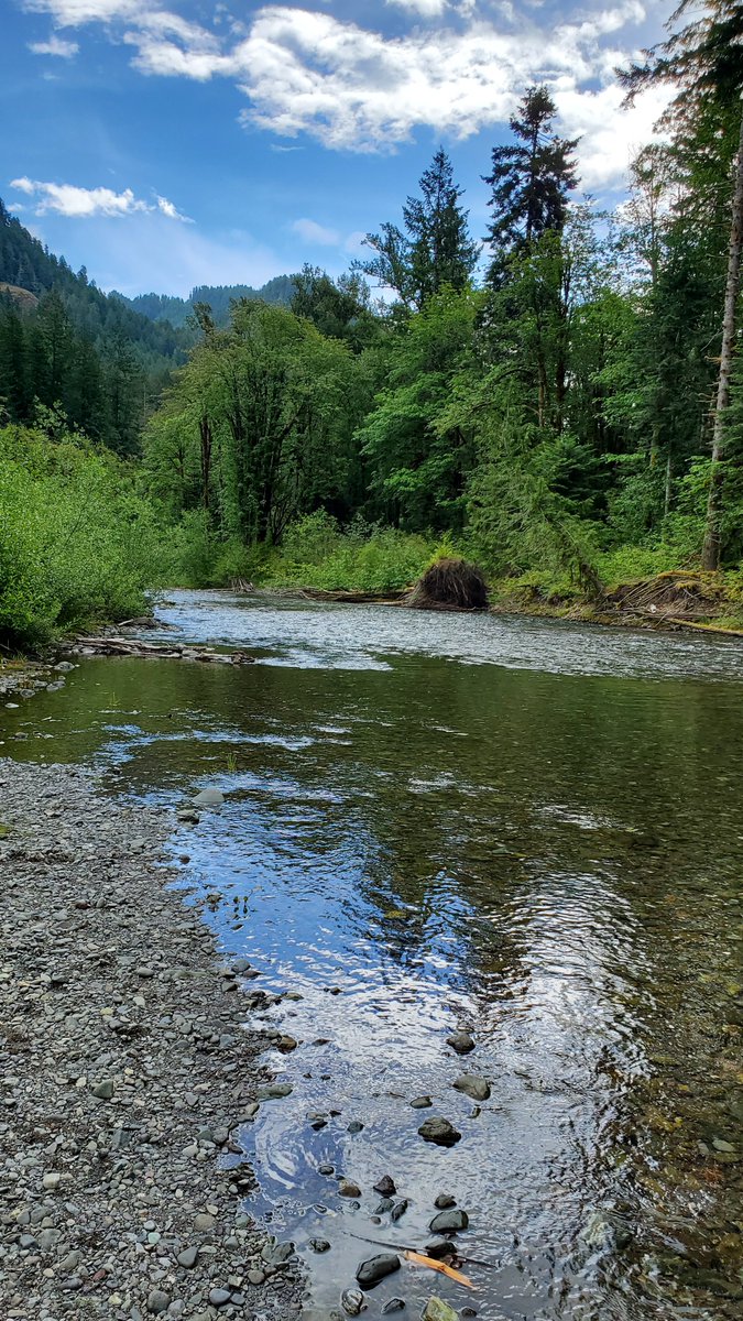 ZondaNature's tweet photo. Hamma Hamma River https://t.co/21Ixantdvt