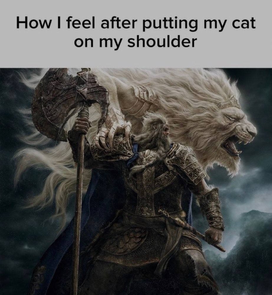 🕐HOURLY🕑 shitpost (@hourly_shitpost) on Twitter photo 