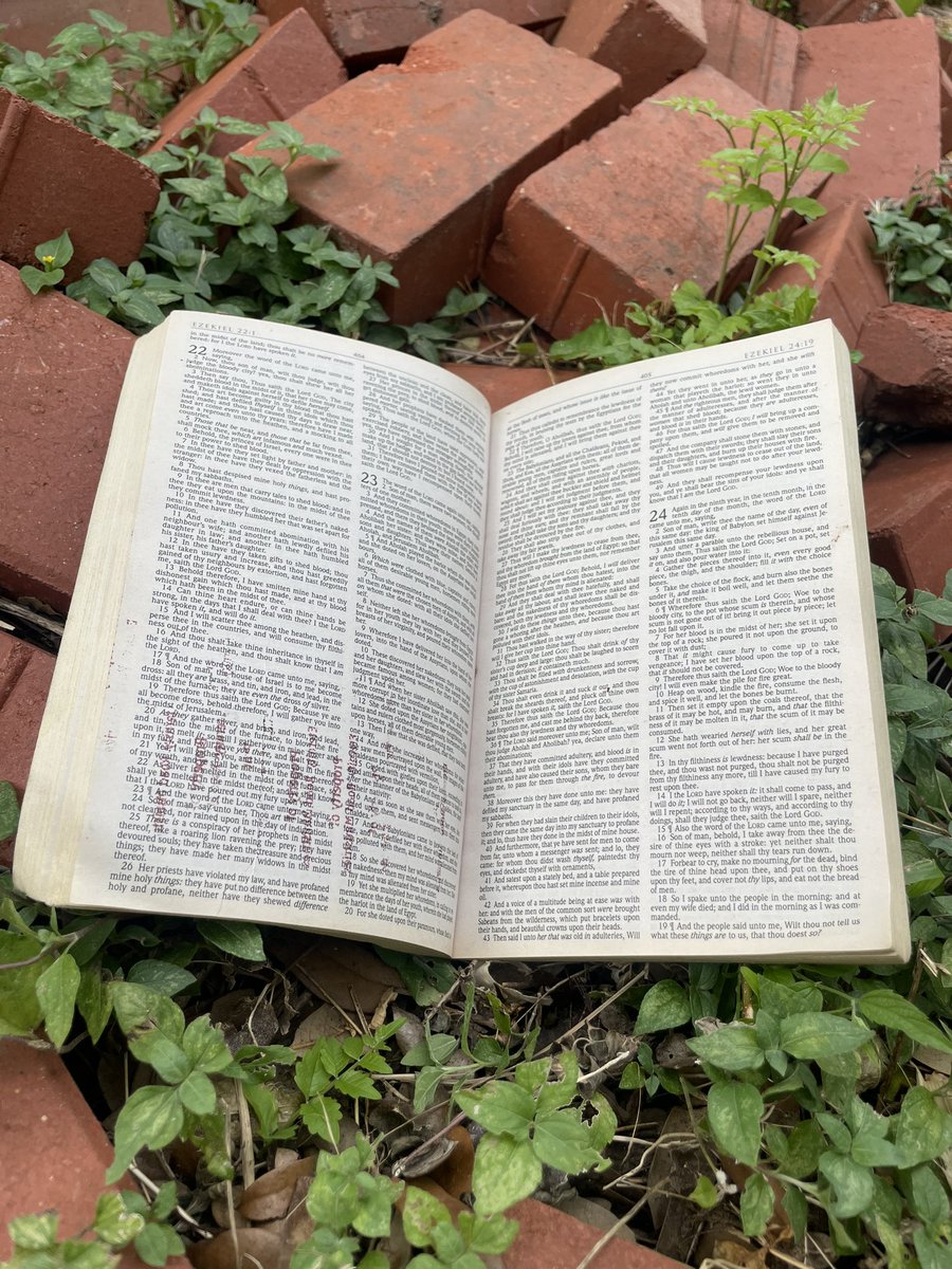 programfearz's tweet image. Distribution of unsharable rations quite the contrary… brethren containeth much a discernment of good &amp;amp; evil…