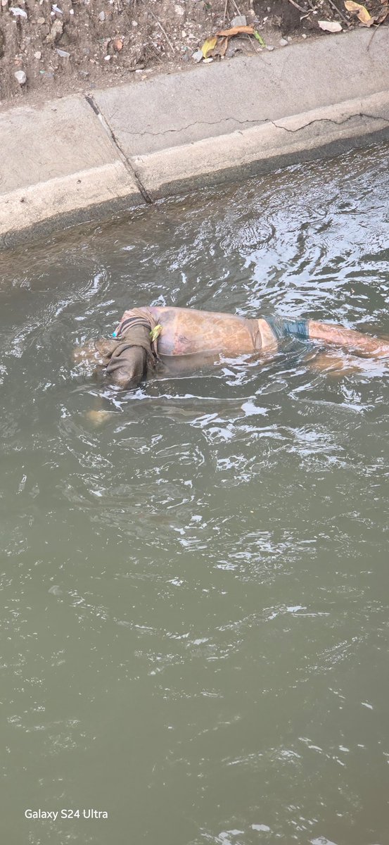 interdiario's tweet photo. #Interdiario | #Morelos 🚨| APARECE CUERPO FLOTANDO EN CANAL DE TENANGO 

Esta mañana apareció flotando el cuerpo de un hombre en el Canal de Tenango, hasta este momento la víctima está en calidad de desconocido.

otos y créditos a quien corresponda

#Noticias #News https://t.co/m1FGyYHW2U