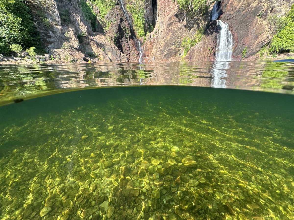 Jenny Davis tweet media