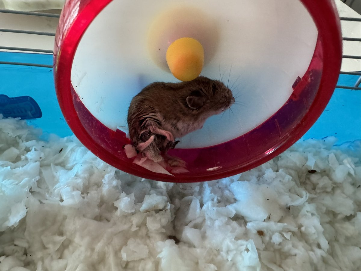 4KTREYonSPIKE's tweet image. Yo bro wtf do i do , its not drinking water