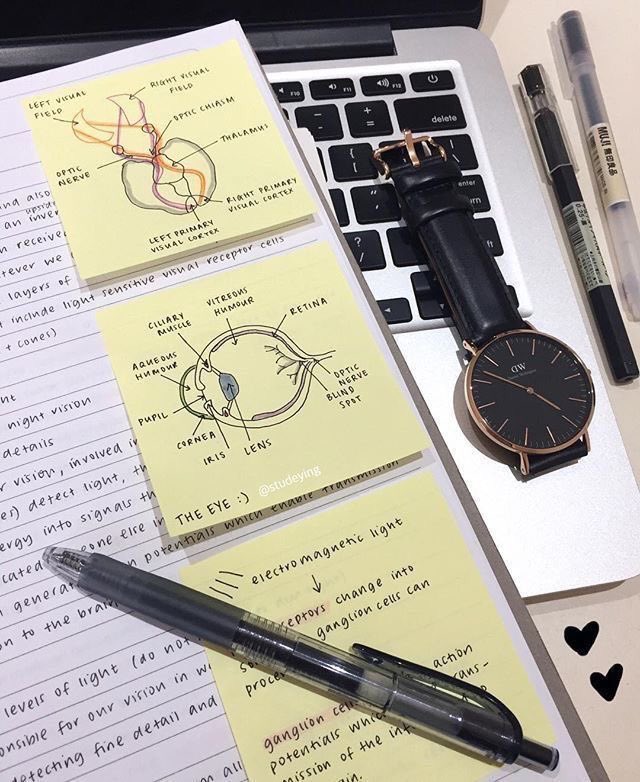 red_arn's tweet photo. — 🖥️ ⠀ֺ֪⠀Tudo sobre os simulados abertos on-line UNICAMP, ENEM, UNESP e FUVEST do ETAPA - cronograma, inscrição e informações! ✨📚

   uma thread para o #studytwt &amp; #studytwtbr https://t.co/KkHppweP4o