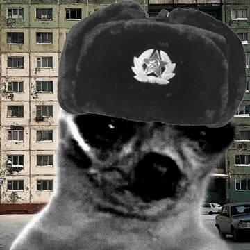 TokTheDog's tweet photo. @NFTDEFILAND $TOK not communist I swear https://t.co/4po6INHshV