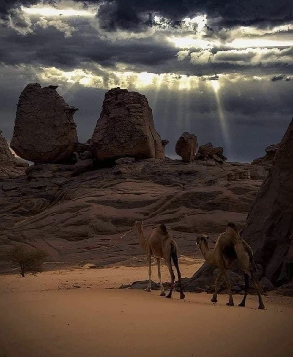 pedrosamol's tweet photo. #Algérie c’est un autre monde 😍 https://t.co/x4ts314WXx