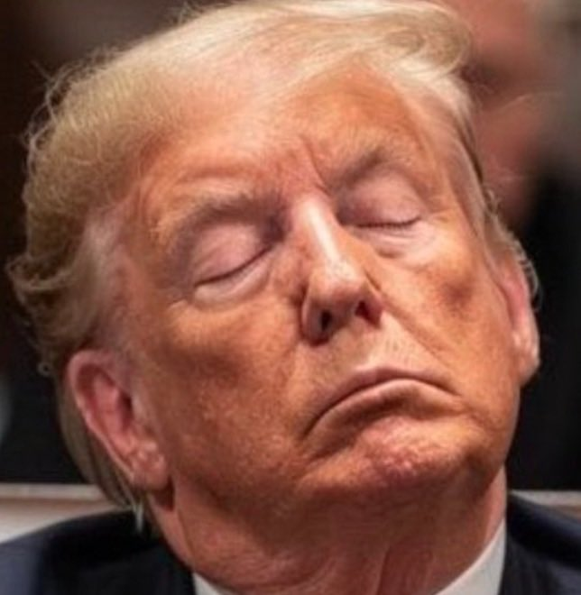 ReallyAmerican1's tweet photo. Many people believe that, at 78 years old, Donald Trump is way too old to run for President.

But that's far from the ONLY reason Trump is unfit to occupy the Oval Office. Which other reasons do YOU have for keeping him out of the White House?

We'll start: He's a convicted felon. 
What else?