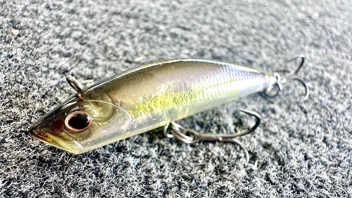 BassGeekFishing's tweet photo. No One is Talking about this Bait!
https://t.co/fmhi4mzjgD
#bassfishing #fishing #newlures #bassgeek #livescope #bassfishinglife #bassfishingtips #fishinglures #howto #icast2024 https://t.co/9ITOarcRE0