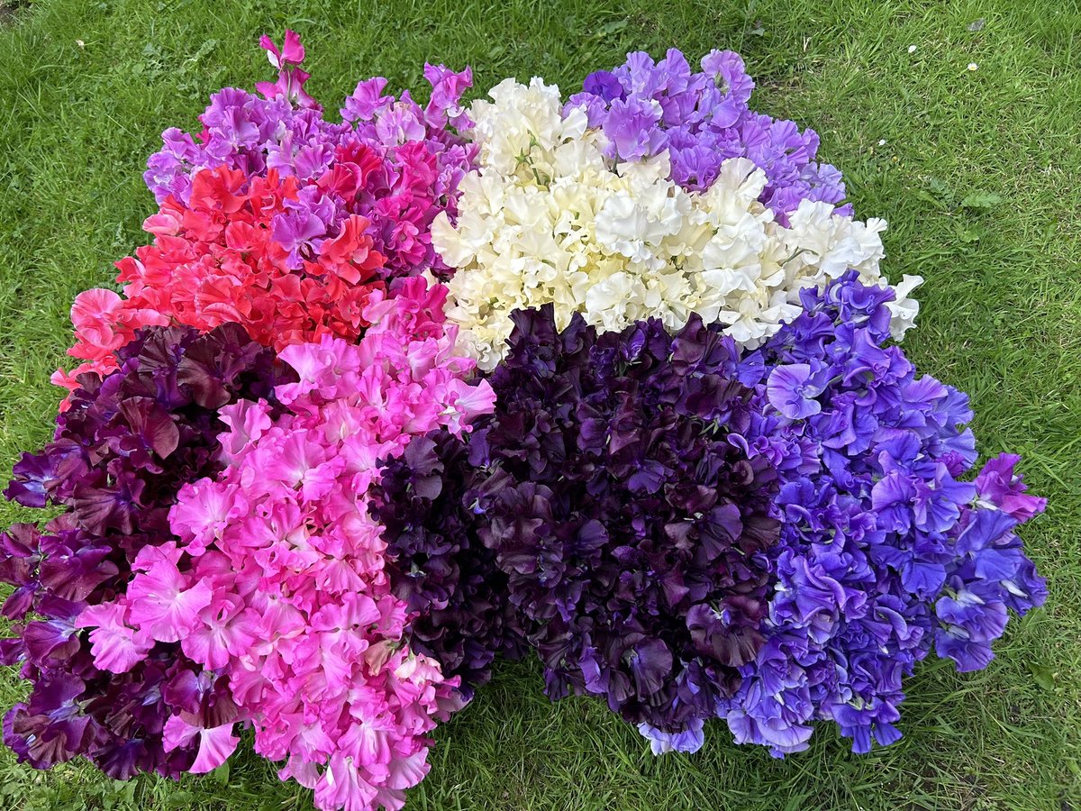 Darren Myers tweet media