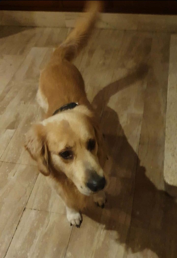 Germán 🇦🇷 tweet media