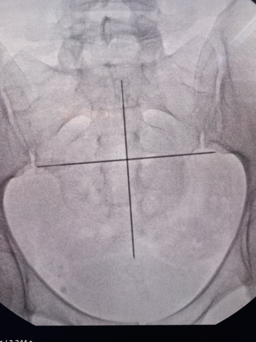 Functional urology day