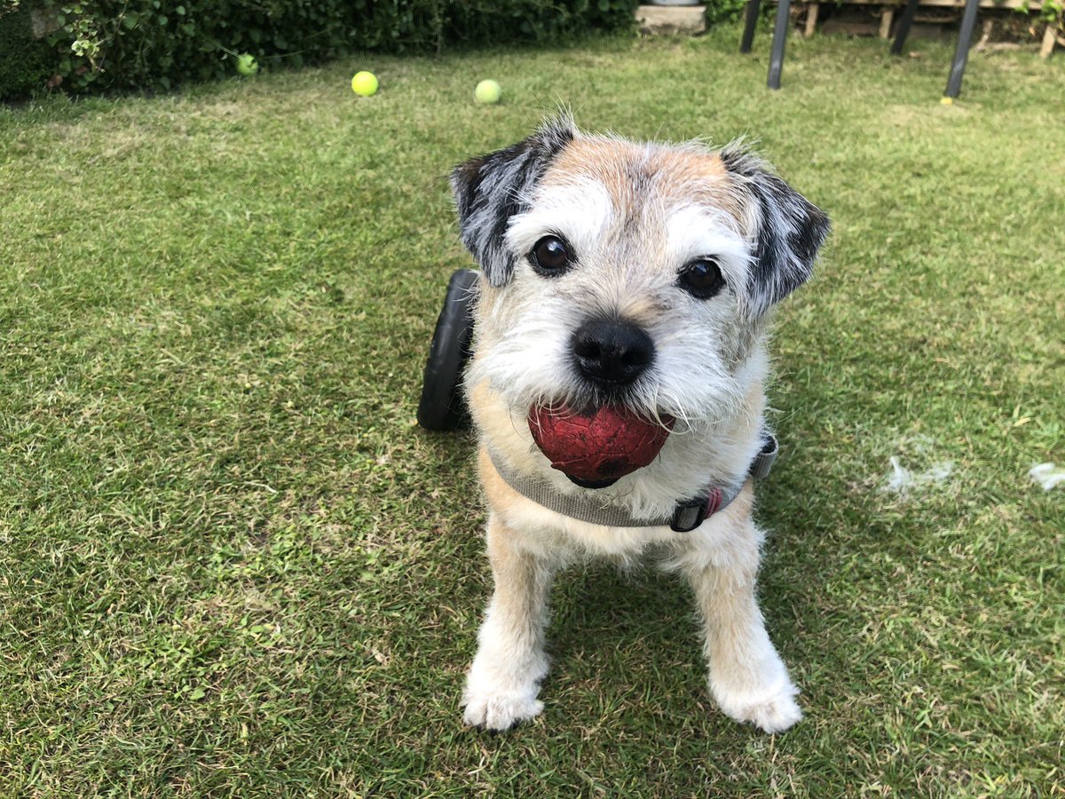 Lord Benson 🌈 tweet media