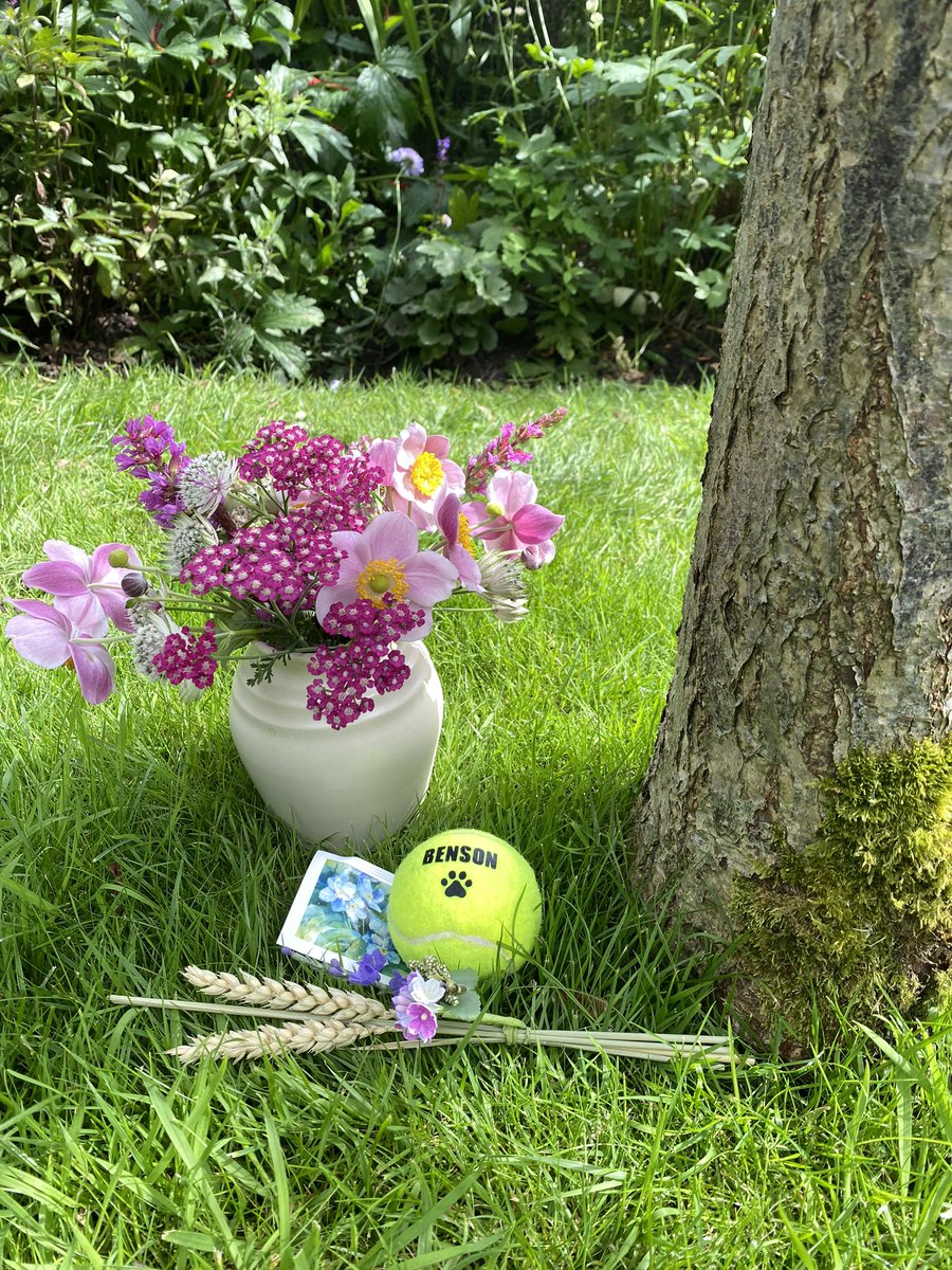 Lord Benson 🌈 tweet media