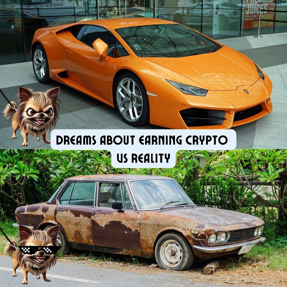 Rage_Dog_'s tweet photo. I've had different expectations on this one😅
#buymemecoin #ragedog #cryptoreality https://t.co/elJBM6s61P