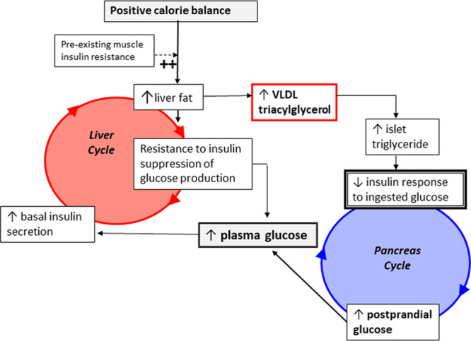 Reducing diabetic pathophysiology to "carbs" is understandable for the lay person, but for a doctor? Bizarre.

ncbi.nlm.nih.gov/pmc/articles/P…