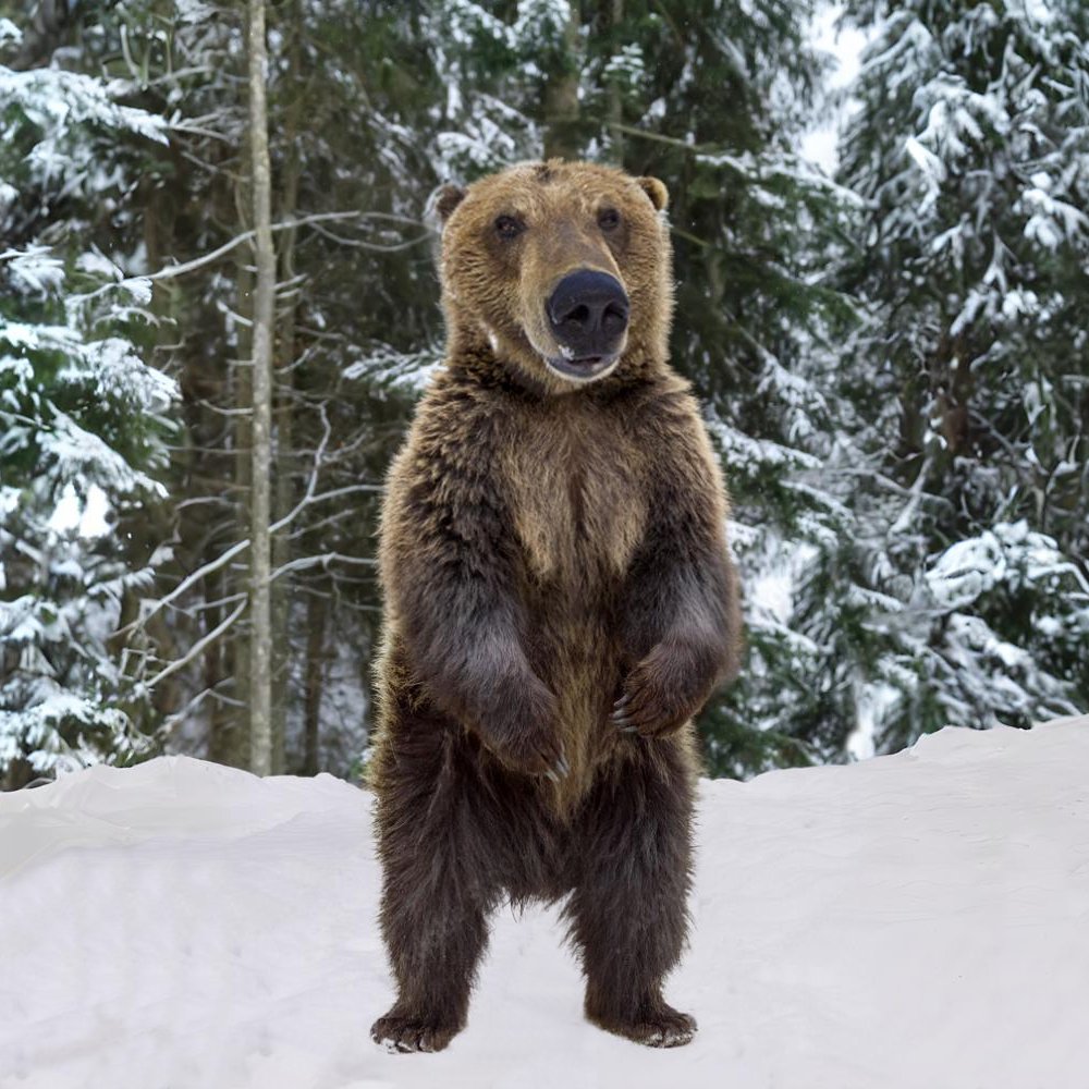 🐻 $GRIZZLER MEME-TRAIT CONTEST 🐻

🎯 GOAL: 
Create a usable trait for GRIZZLER.

💰 PRIZE: 
10,000 $GRIZZLER per trait.

⚠️ RULES: 
- Create/download a possible trait as a PNG file without background.
- Note the layers (e.g. the arms must be in front of the pants)
- The trait
