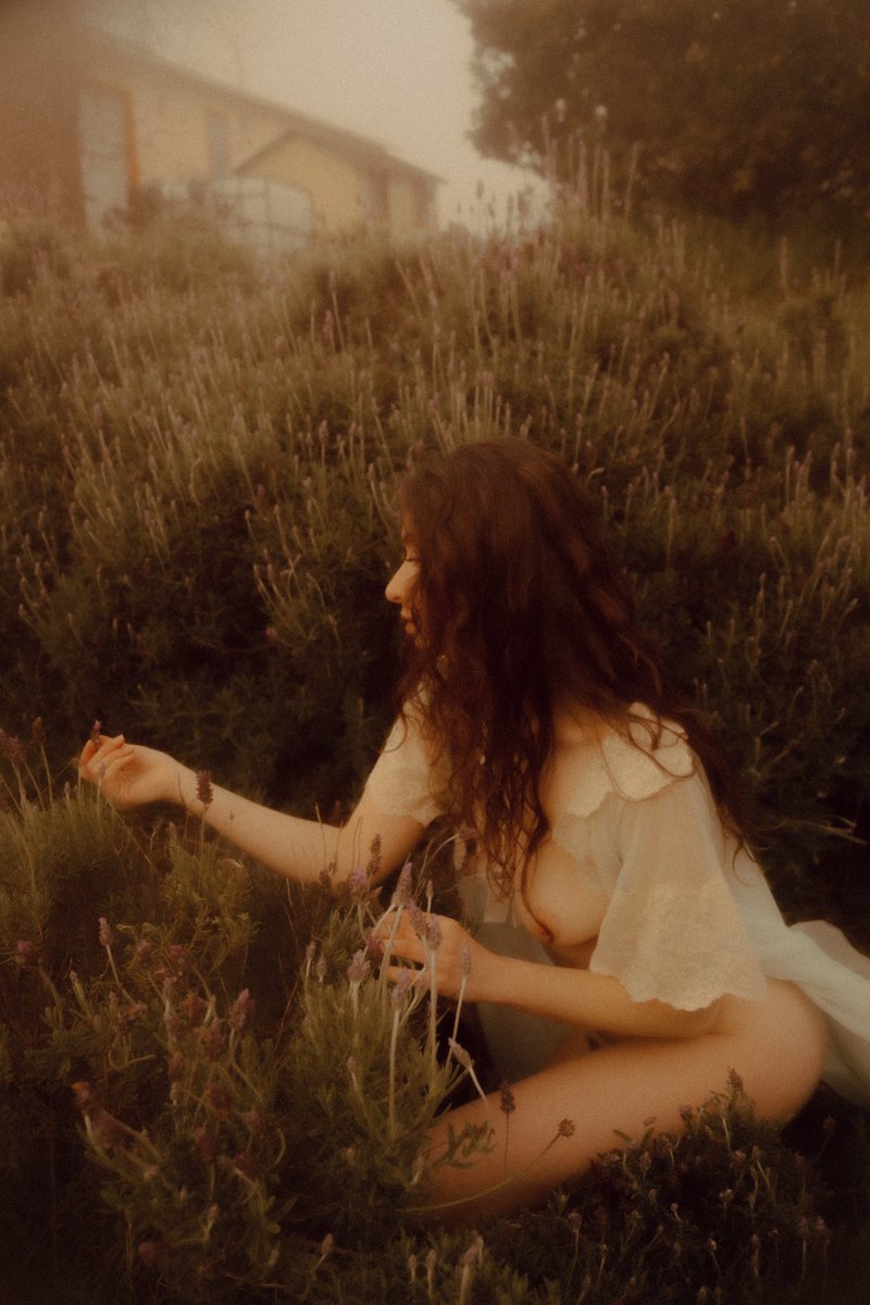 moncherye's tweet photo. In the gentle embrace of the lavender fields, she found herself amidst the serene whispers of nature. Each bloom mirrored her own journey—delicate yet resilient. https://t.co/Sn5h1woRdy