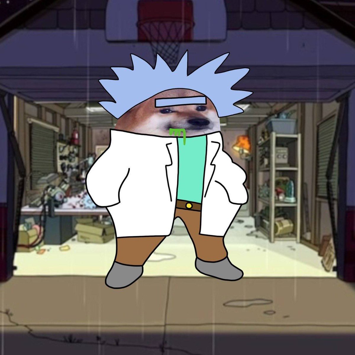 Fellaton's tweet photo. Hey hey Morty come check this $FELLA https://t.co/px4QgR3Qcj