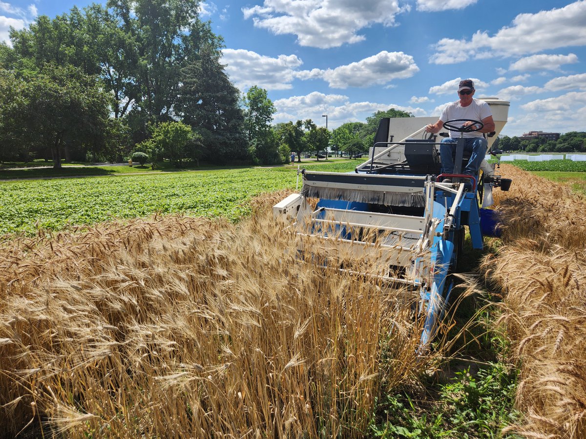 Ahmad Sallam. Ph.D. tweet media