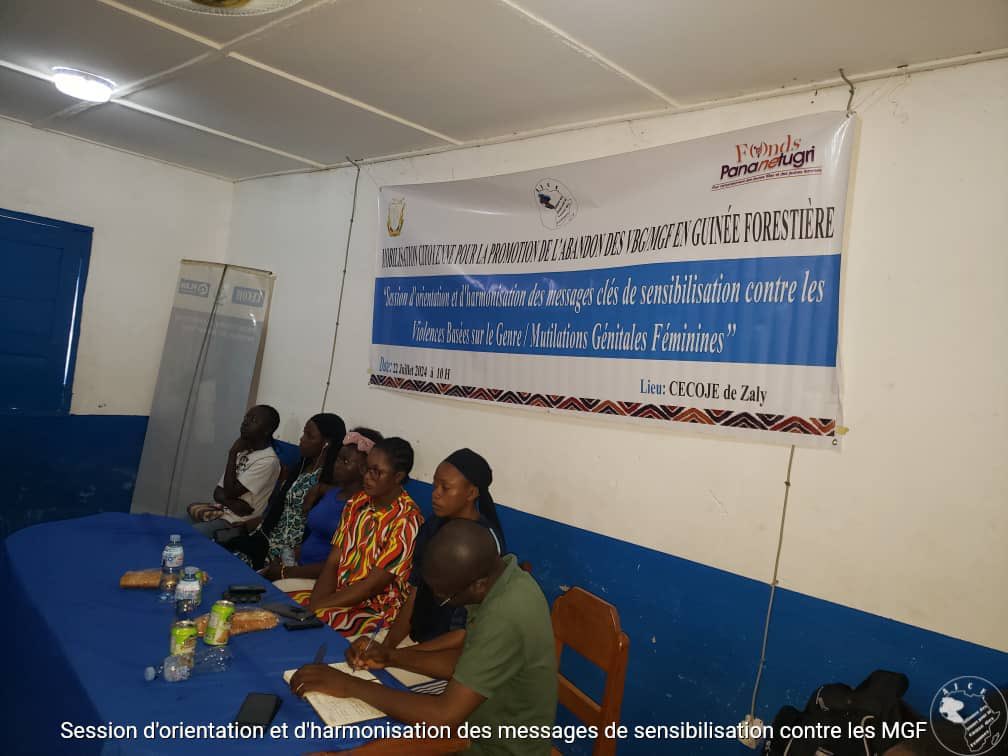 AjcfGuinée tweet media