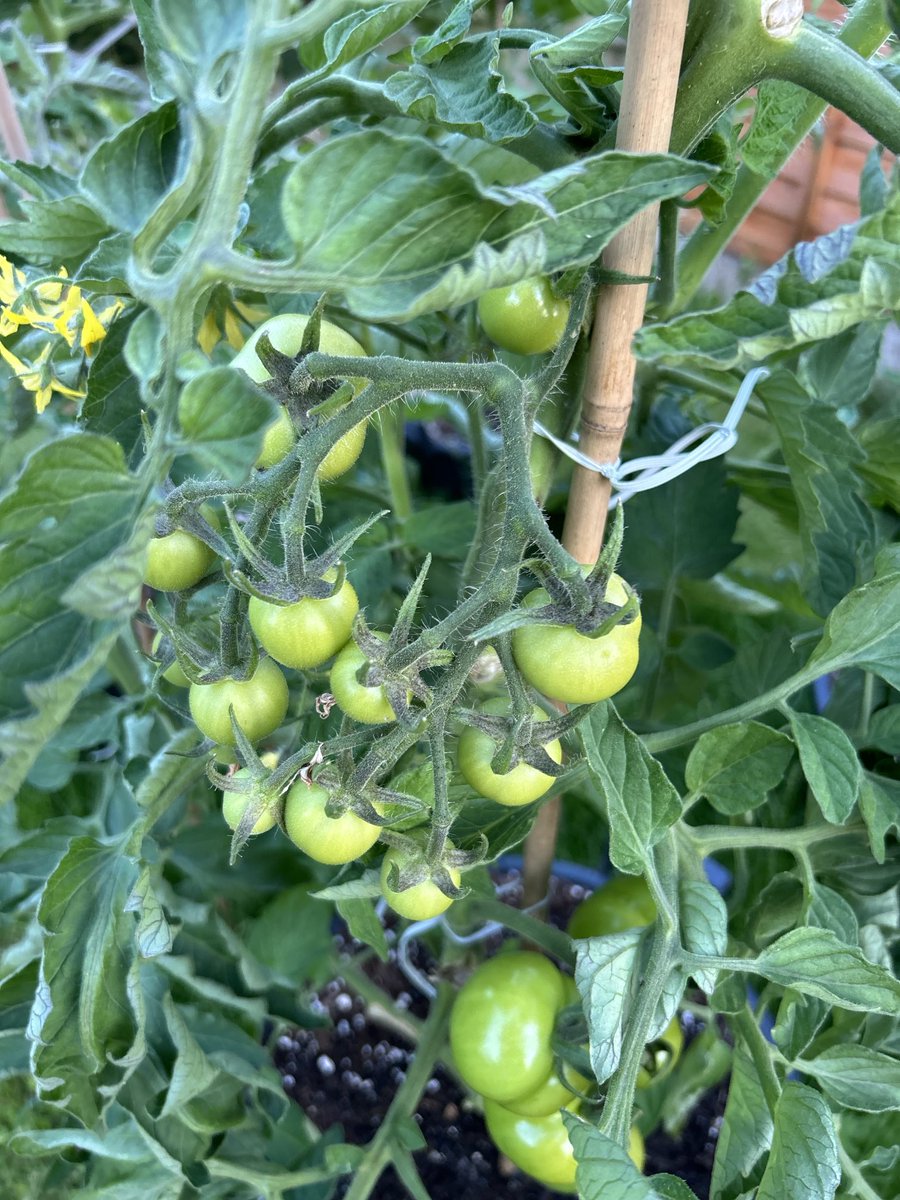 Martin Blore tweet media