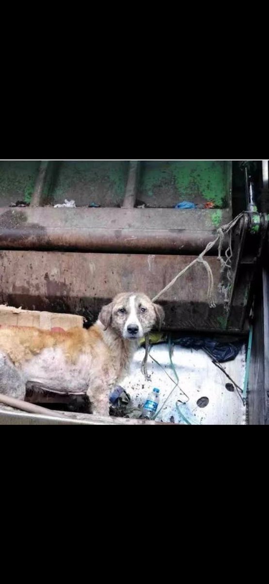 #YasayıGeriÇekKatliyamaHayır