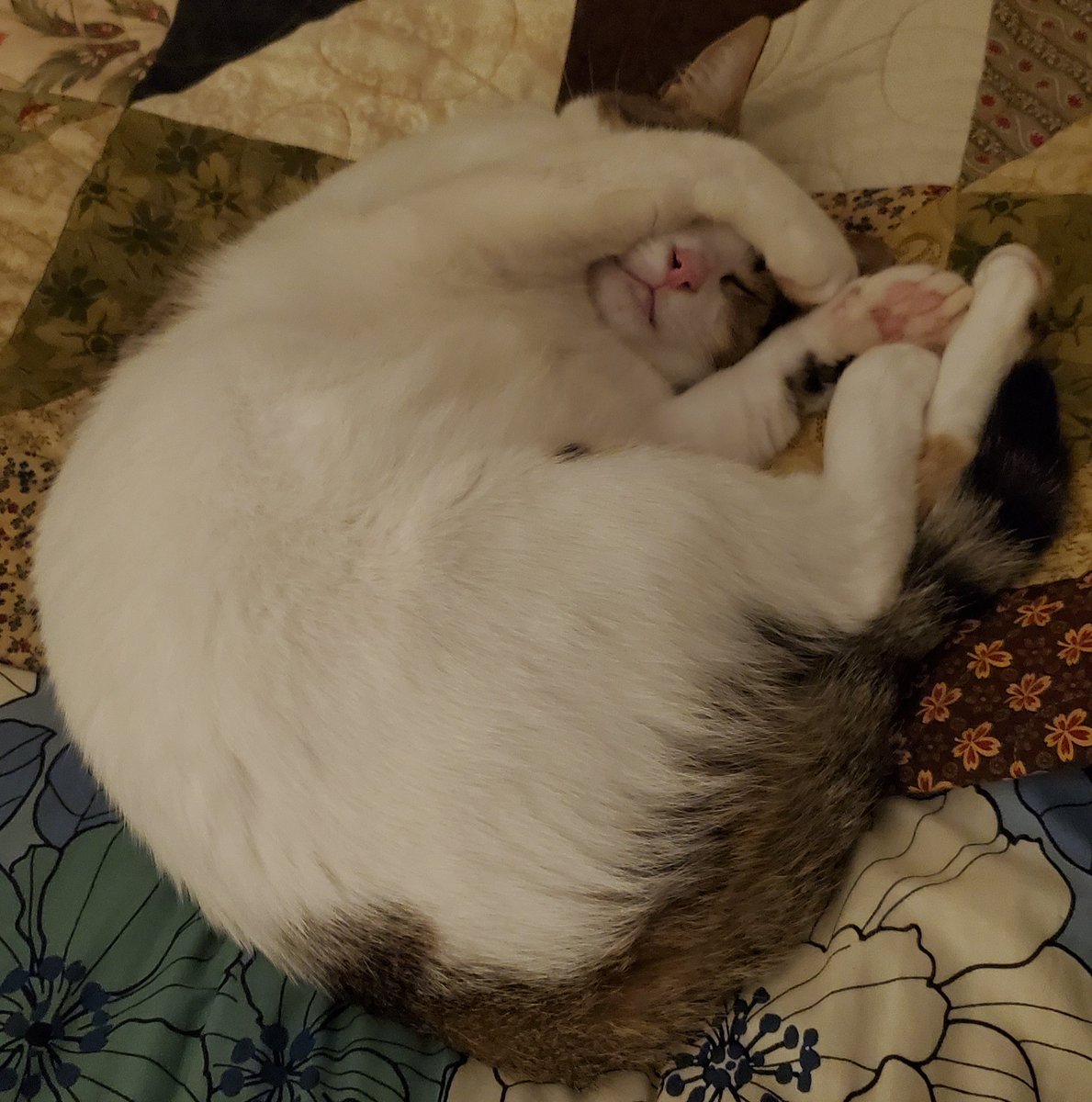 Vladora's tweet photo. baby gorl

she's too precious https://t.co/h8WqDFqVIt