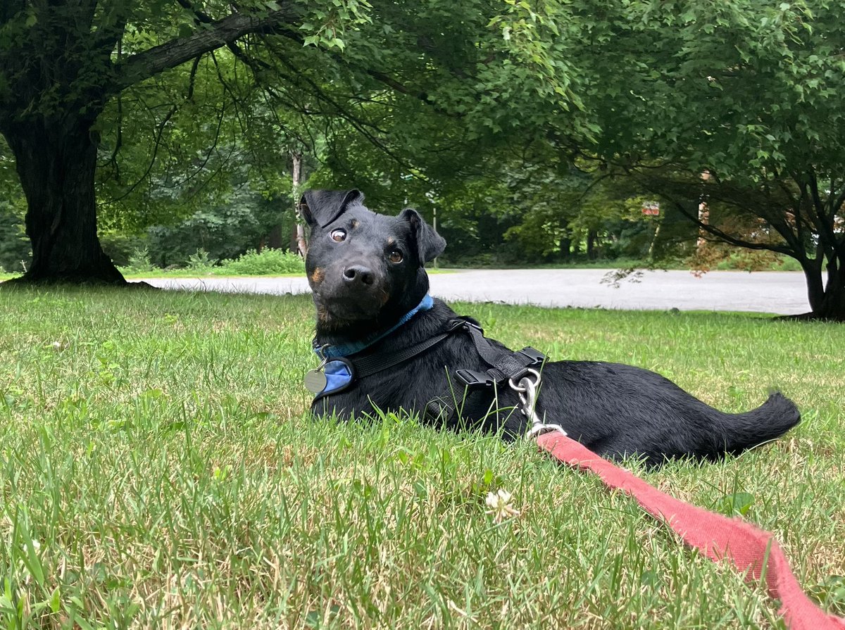 Chilling on the lawn with the great Cassius Clay.