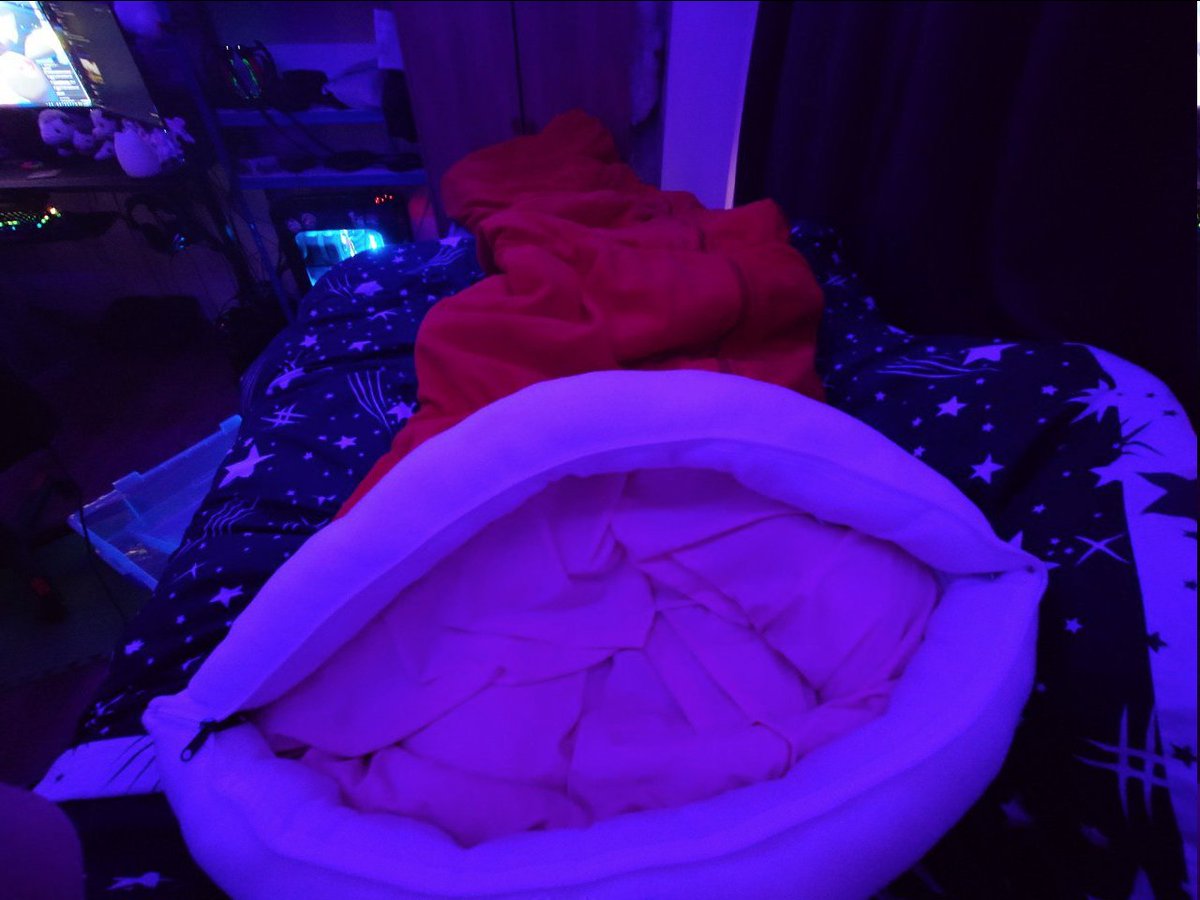 the_spossum's tweet photo. Wooooorm - moldworm c:
Worm hungy so worm eat'ya.
You gonn be worm noms.
#worm #wormplush #moldworm #loz #voreplush #plushvore #soff https://t.co/12D04ZIOjw