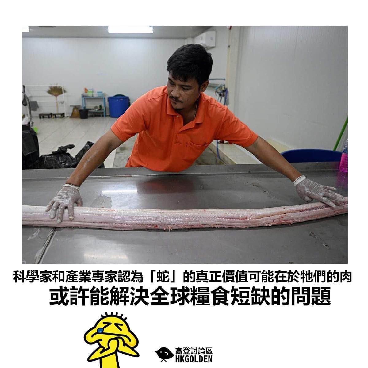 大家冷靜一點 冷靜(´Д` )