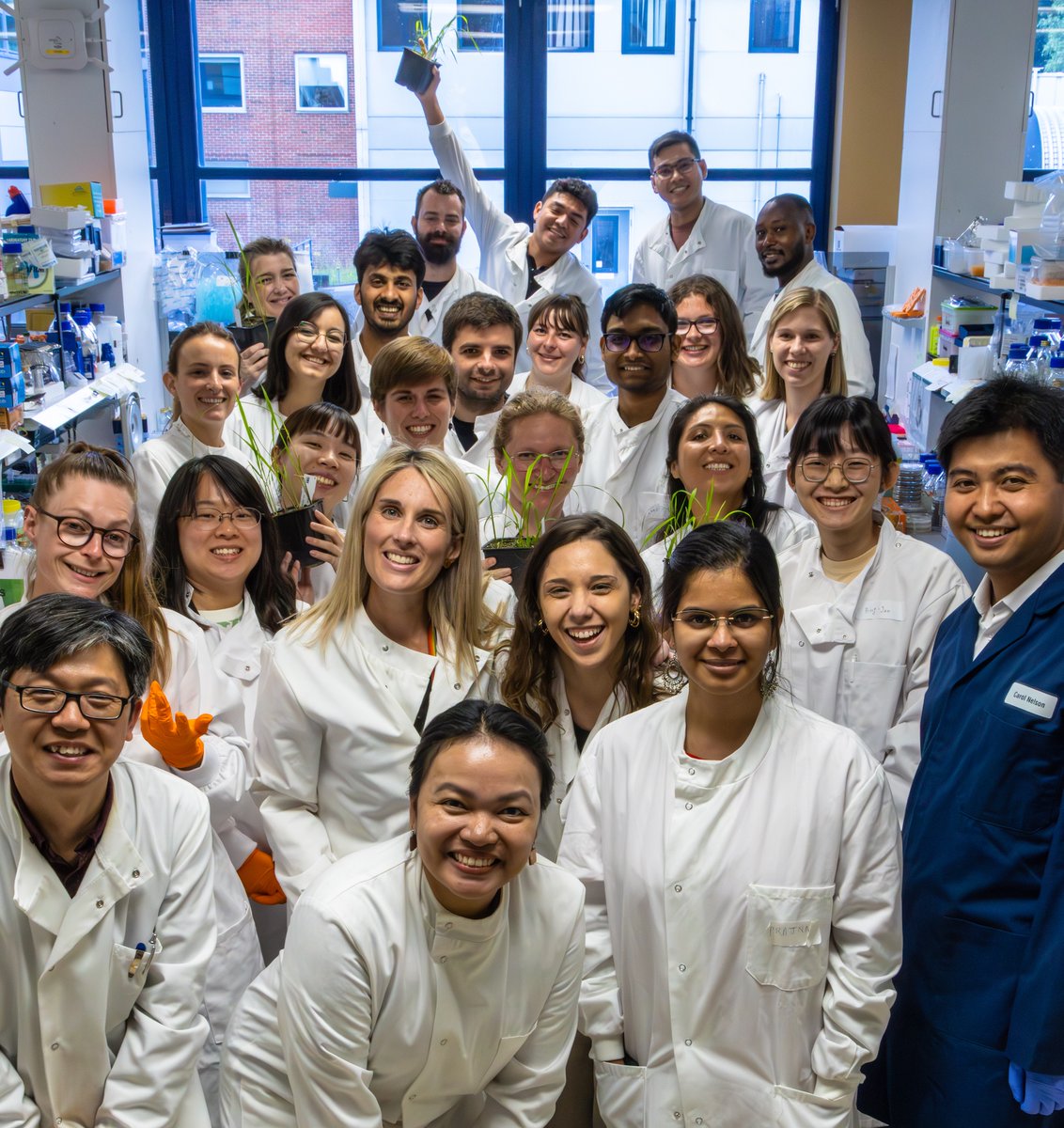 The Sainsbury Laboratory (@thesainsburylab) on Twitter photo Summer Conference fungal transformation teamwork with <a href="/Ryder_Lauren1/">Lauren Ryder</a> <a href="/vinniman/">Were Vincent</a> @CamilaMolinari3 <a href="/mattrwengler/">Matt Wengler</a> <a href="/NeftalyCM/">Neftaly Cruz Mireles</a> <a href="/javebautista17/">Jave Bautista</a> <a href="/WeibinMa/">Weibin951</a> <a href="/talbotlabTSL/">Nick Talbot</a> Summer Conference fungal transformation teamwork with <a href="/Ryder_Lauren1/">Lauren Ryder</a> <a href="/vinniman/">Were Vincent</a> @CamilaMolinari3 <a href="/mattrwengler/">Matt Wengler</a> <a href="/NeftalyCM/">Neftaly Cruz Mireles</a> <a href="/javebautista17/">Jave Bautista</a> <a href="/WeibinMa/">Weibin951</a> <a href="/talbotlabTSL/">Nick Talbot</a>