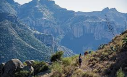 lajornadaonline's tweet photo. Al rescate de Barrancas del Cobre.
#Opinión de Iván Restrepo.

En #Chihuahua se sumó este sexenio el creciente deterioro de sus recursos naturales. Una entidad con un alto grado de deforestación, amparada por autoridades y el crimen organizado. También con una enorme concentración del agua en el agro, a favor de poderosos intereses económico-políticos, con el aval de las instancias oficiales. Terminar con estas y otras injusticias, tarea impostergable de la futura administración.
https://t.co/hSzuQnOlQk