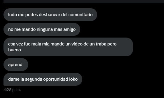 Ludo Gallina tweet media