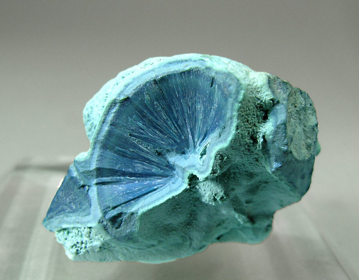 Plancheite with Chrysocolla -from  Kambove District, Katanga (Shaba) Congo D.R.

Photo: Fabre Minerals
