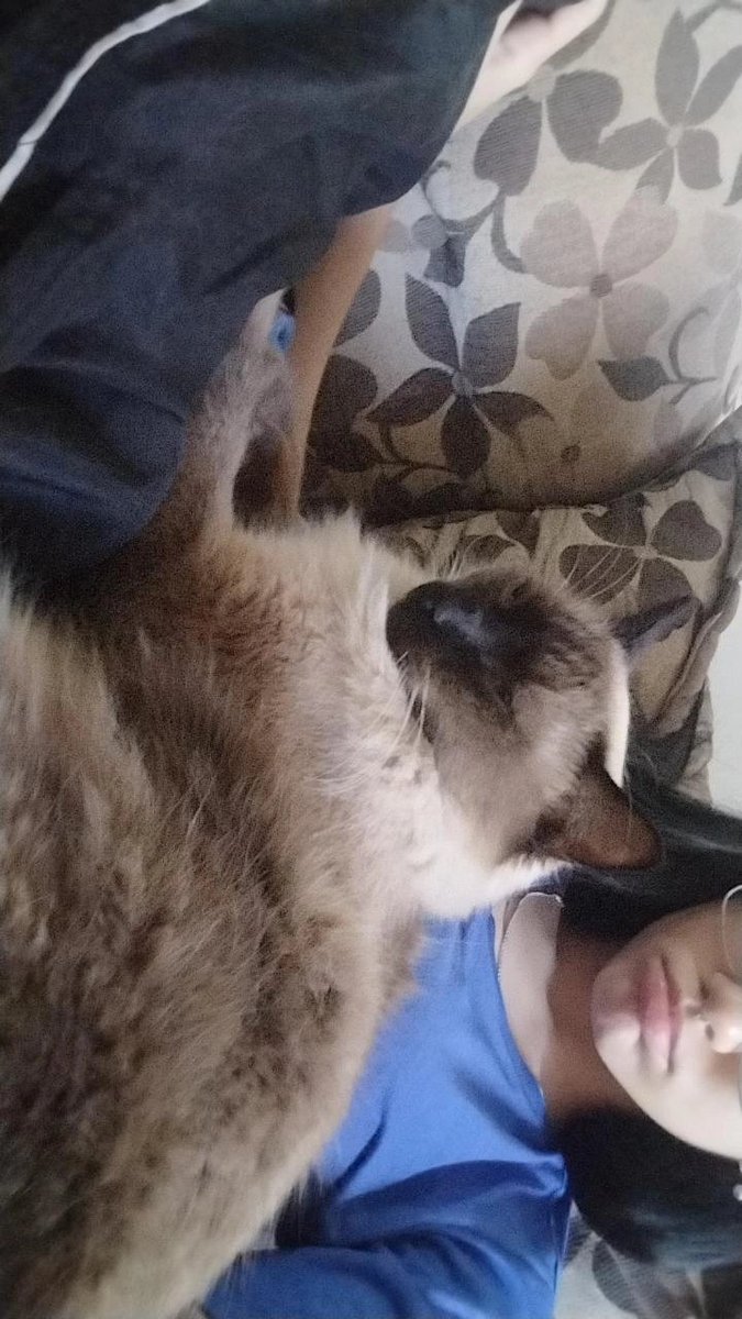 Kᵃₘᶦ tweet media