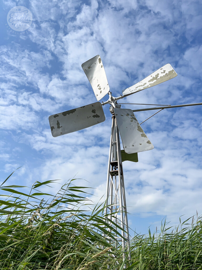 ByEstrella's tweet photo. Tot slot nog vier 'random' foto's. Een strakke akker in #Sleeuwijk, het #Bosman molentje wat vlak bij de Uitwijkse en Zandwijkse #molen staat, mooie #distels met een verdwaalde veer en de @merwedebruga27 vanachter 't geel (moest nog aan jou denken, @tonnieontour!) https://t.co/0Vp7An0sLe