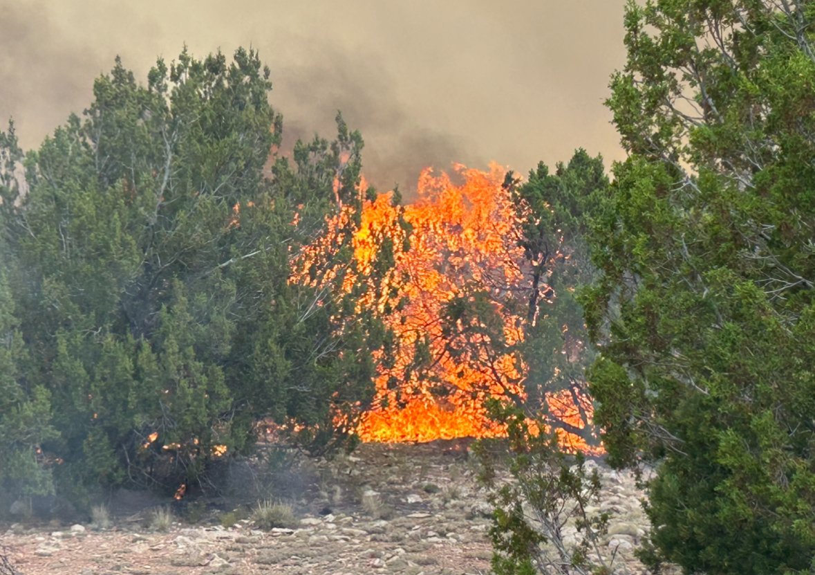 azstateforestry's tweet photo. #RabbitFire: firing operations underway to south flank of fire. Ops producing large columns of smoke highly visible to nearby communities & drivers near Grand Canyon Junction (SR 64/US 180) as well as US 89 east of fire.
Fire est at 800 ac. w/20% containment.
πLoc. 20 mi. E. of Grand Canyon Junction
#AZFire #AZForestry #CoconinoCounty @ArizonaDOT