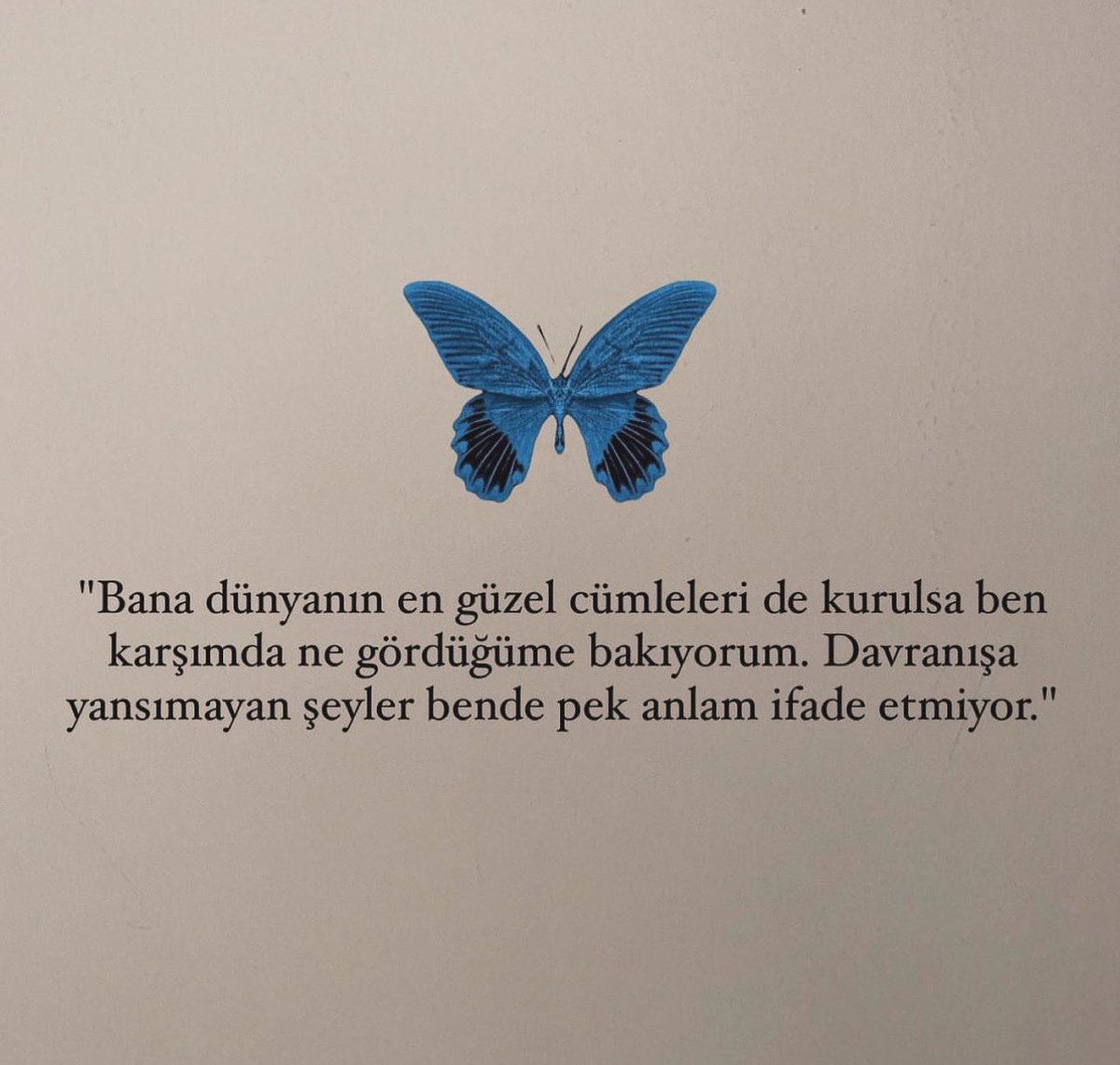 Pozitif Psikoloji (+) (@pozitifpsklj) on Twitter photo 