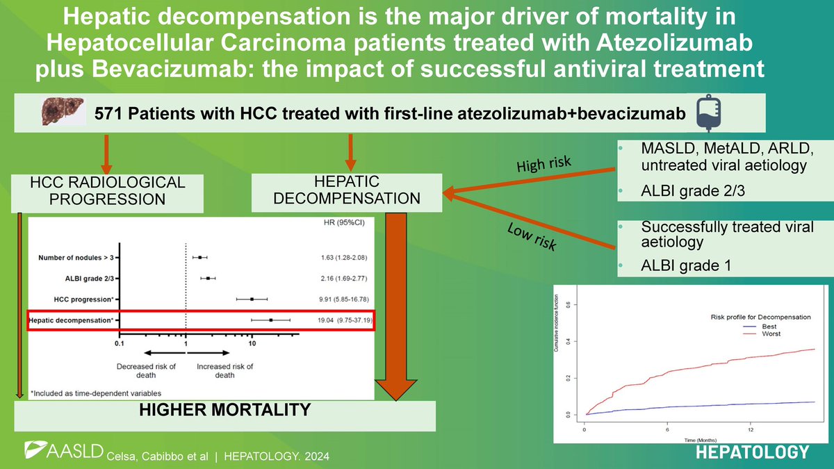 Erman Akkus (@erman_akkus) on Twitter photo ⭕️Hepatic decompensation and mortality in HCC treated with atezo-beva
<a href="/HEP_Journal/">HEPATOLOGY Journal</a>
🚨Decompensation and disease progression are independent prognostic factors
➡️Decompensation HR: 19.04 (9.75-37.19)
➡️Progression HR: 9.91 (5.85-16.78)
✅Treatment of viral aetiology and ⭕️Hepatic decompensation and mortality in HCC treated with atezo-beva
<a href="/HEP_Journal/">HEPATOLOGY Journal</a>
🚨Decompensation and disease progression are independent prognostic factors
➡️Decompensation HR: 19.04 (9.75-37.19)
➡️Progression HR: 9.91 (5.85-16.78)
✅Treatment of viral aetiology and