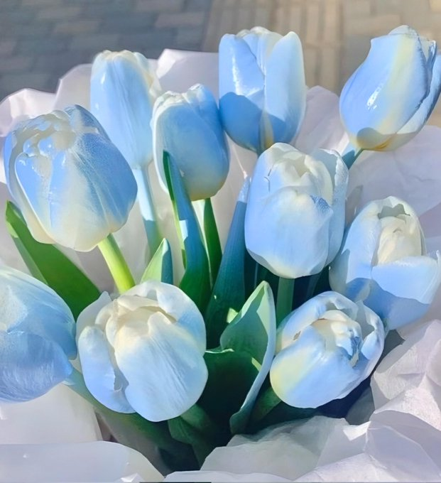 Exulansista's tweet photo. blue tulips or blue peonies? https://t.co/LZbV1XDKIE